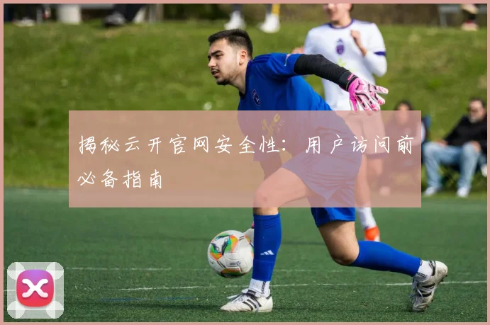 揭秘云开官网安全性：用户访问前必备指南